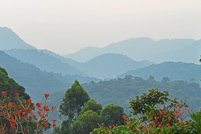3 Day Guided Gorilla Tracking Safari At Bwindi National Park - Day 1 from Kampala to Rushaga: Mbarara culture lunch and Kabale views