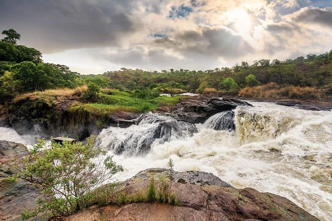 3-Day Mind Refreshing in Murchison Falls National Park - Ziwa Rhino Sanctuary, then on to Murchison Falls: how Day 1 sets the tone