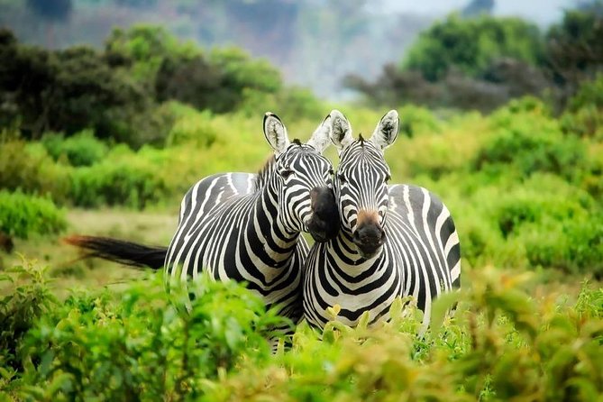 3-Day Mind Refreshing in Murchison Falls National Park - Review-style highlights that show up in the experience