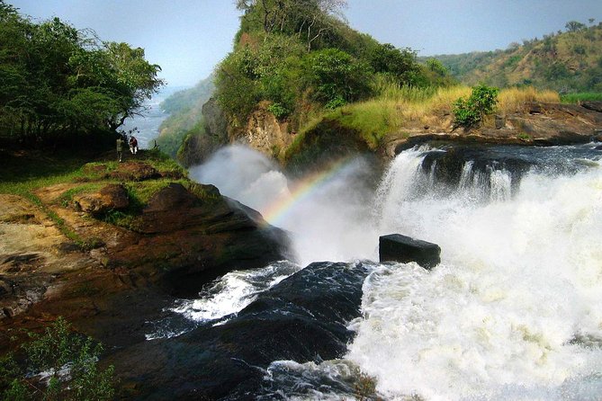 3-Day Mind Refreshing in Murchison Falls National Park - Should you book this 3-day Murchison Falls private safari?