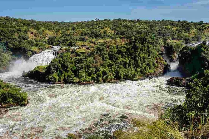 3-Day Mind Refreshing in Murchison Falls National Park - The hike up to Murchison Falls: why the top view changes everything