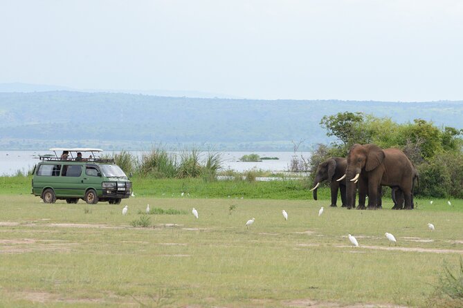 3 Day Murchison Falls' BIG 5 and Wildlife viewing Safari - Lodge time, meals, and that late-dusk wildlife feel