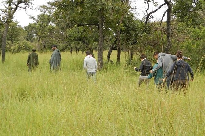 3-Day Murchison Falls National Park - Adventure Safari - Ziwa Rhino Sanctuary and Rhino Fund Uganda: A Rare Conservation Encounter