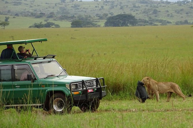 3-Day Murchison Falls National Park - Adventure Safari - Budongo Forest Primates in the Albertine Rift Region