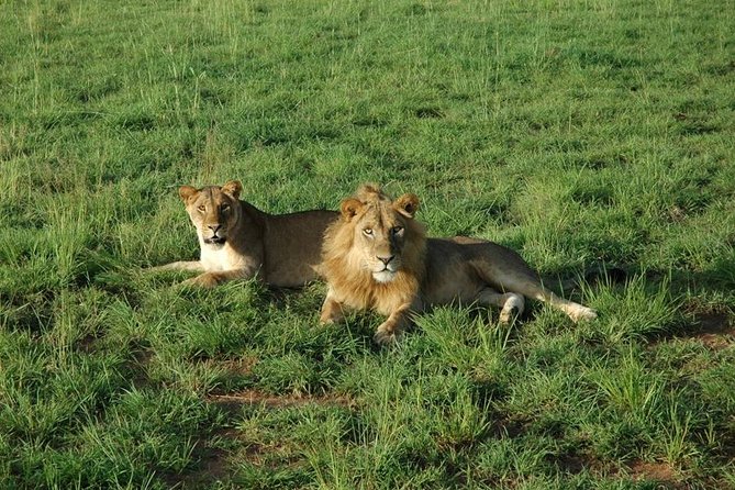 3-Day Murchison Falls National Park - Adventure Safari - What This 3 Days Actually Feels Like: Pacing, Lodging, and Meals