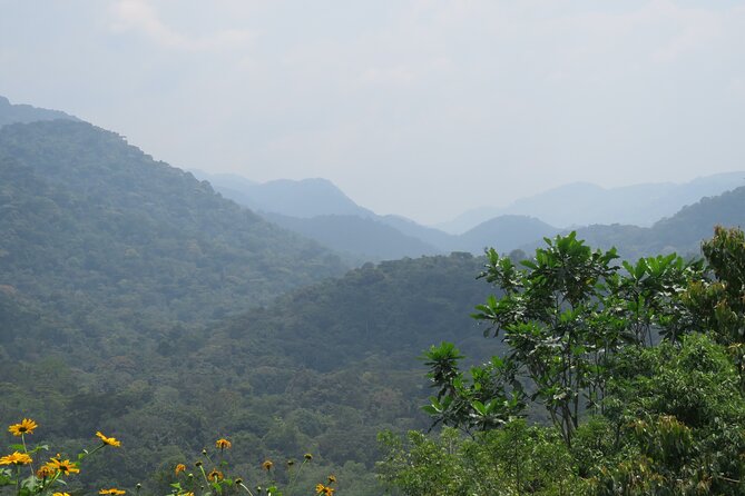 3 -Day Private Gorilla Trekking Safari in Bwindi Forest - Lake Bunyonyi After the Trek: The Perfect Slow-Down