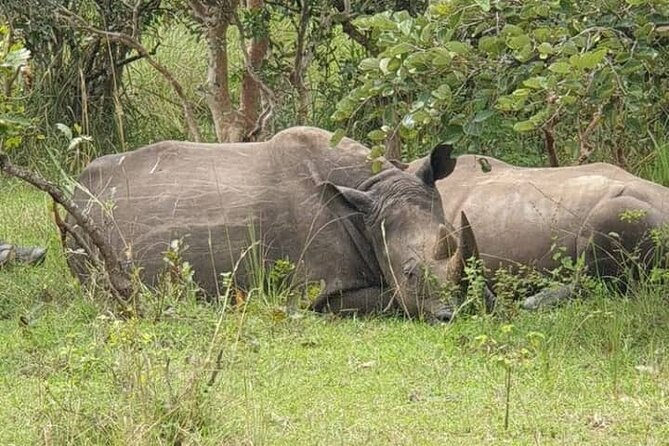 3-Day Private Safari of Murchison Falls National Park - Why Murchison Falls works so well in 3 days