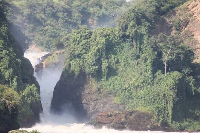 3-Day Private Safari of Murchison Falls National Park - The 6:00 morning game drive that sets the tone for wildlife (Day 2)