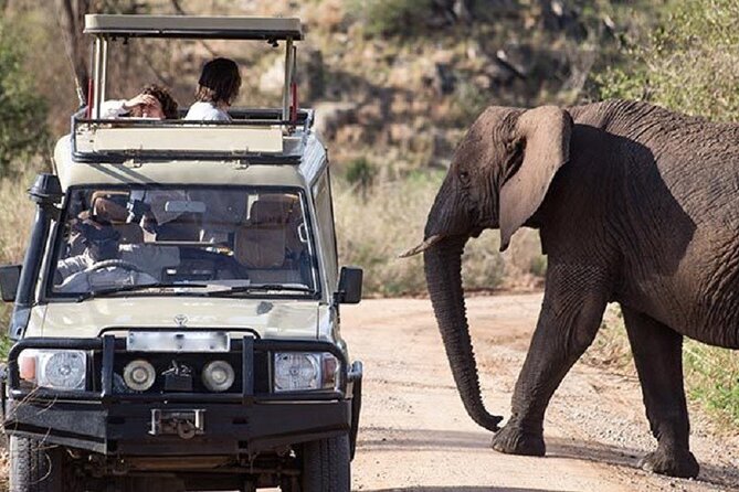 3-Day Safari in Queen Elizabeth National Park Uganda from Kampala - Kazinga Channel boat safari: hippos, crocs, and bird detail
