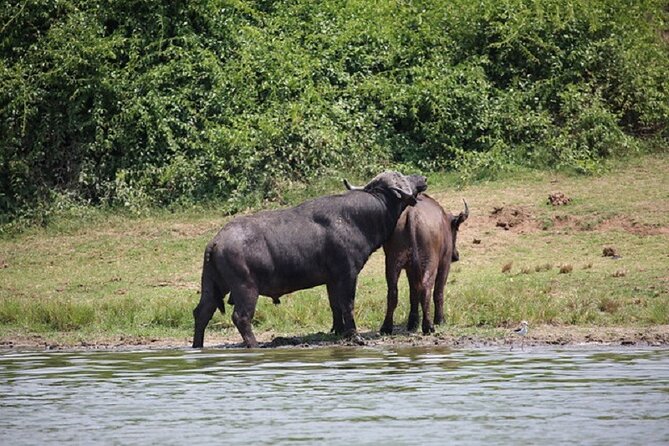 3-Day Safari in Queen Elizabeth National Park Uganda from Kampala - Green Equator stop: photos, crafts, and a quick culture break