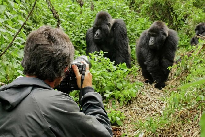 3 Day Uganda Gorilla Trekking and Batwa Pygmies Experience - Your free time after the trek: rest matters more than you think