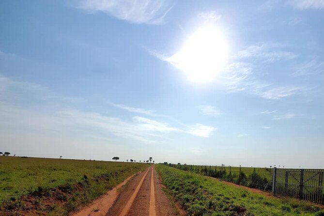 3 Days 2 Nights, Murchison Falls And Wildlife Safari - Murchison Falls: the roar, the views, and the moment you remember