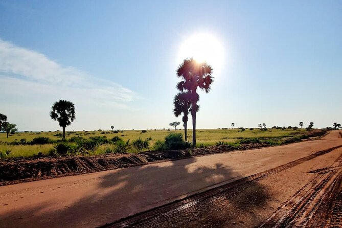3 Days 2 Nights, Murchison Falls And Wildlife Safari - Price and value: what $2,330.77 per person is really buying