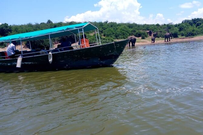 3 Days Best of Queen Elizabeth National Park Wildlife Tour - Day 1: The trip west, the Green Equator stop, and your first crater drive