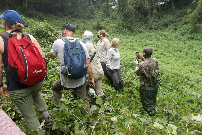 3 Days Bwindi Gorilla Trekking tour - Day 3 rewind: returning to Kampala and catching your flight from Entebbe