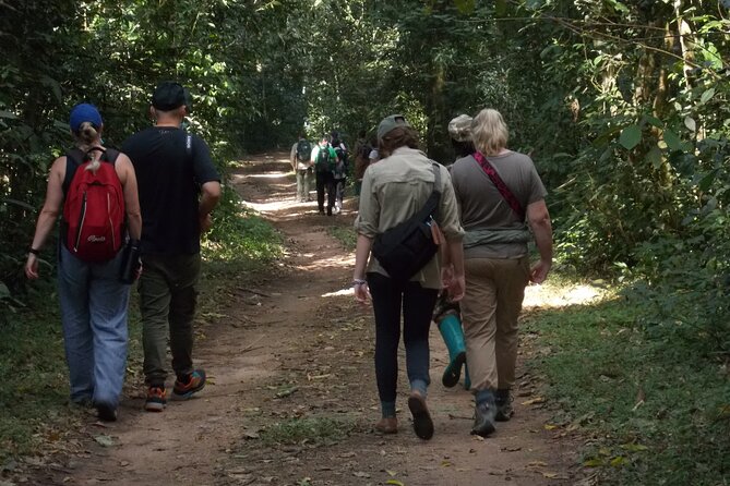 3 Days Bwindi Gorilla Trekking tour - The 7:45 briefing: the gorilla trek rules that keep everything possible