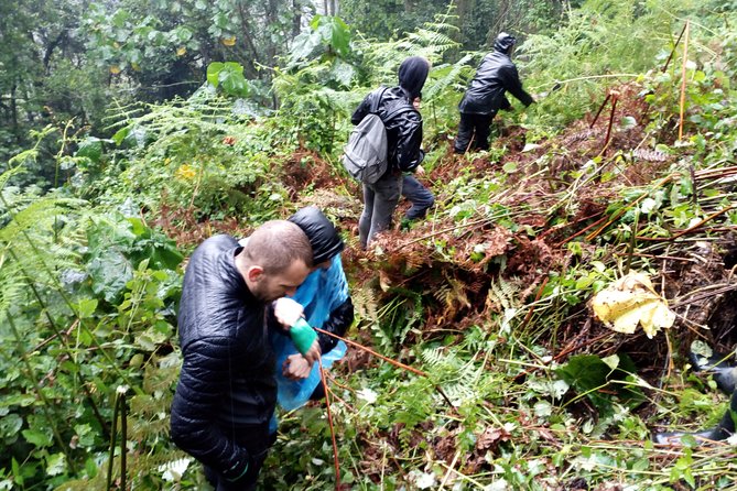 3 Days Gorilla trekking Safari Uganda, Bwindi Impenetrable Forest - Bwindi in 3 days: the exact rhythm you’ll follow