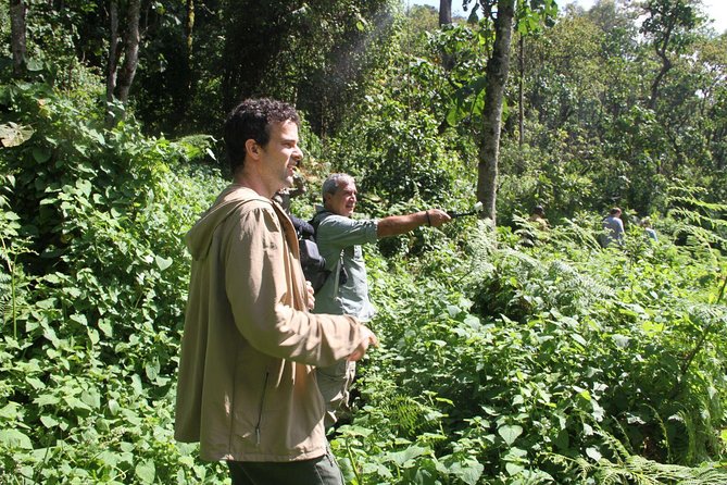 3 Days Gorilla trekking tour - Day 1: Entebbe to Bwindi, Equator Stop, and Gorilla Mist Camp
