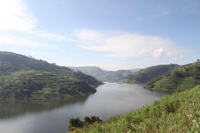 3 Days Gorilla trekking tour - Day 2: Morning Briefing, Gorilla Trekking, and a Lake Bunyonyi Pause