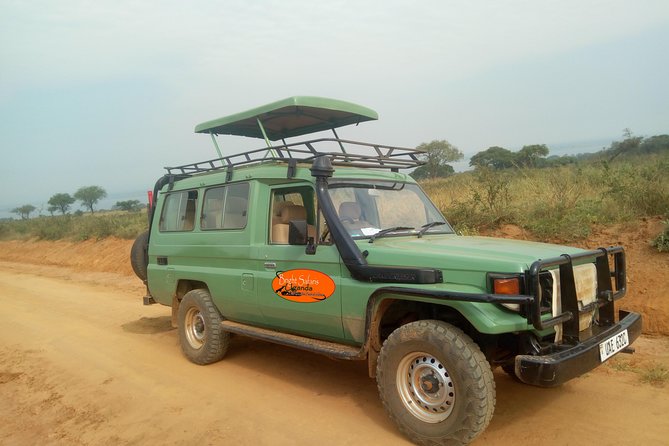 3 Days Lake Bunyonyi and Gorilla Trekking Tour in Uganda - Timing, packed lunches, and what to bring mentally
