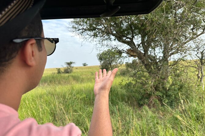 3 Days magical Murchison falls safari - Day 3: Second game drive and the classic top-of-falls viewpoint