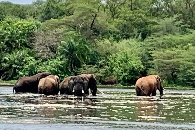 3 Days magical Murchison falls safari - Comfort and pacing: long days, but built to keep you functional