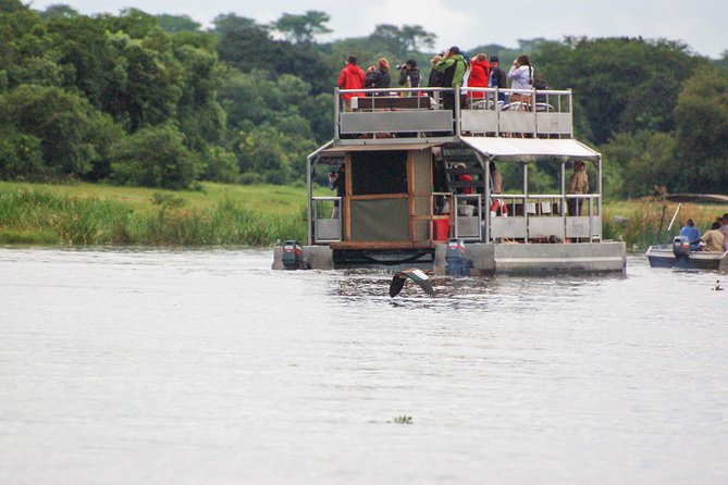 3 days Murchison Falls, Boat cruise and wildlife game viewing - Day 3: top of the falls, northern gate exit, and quick Karuma views