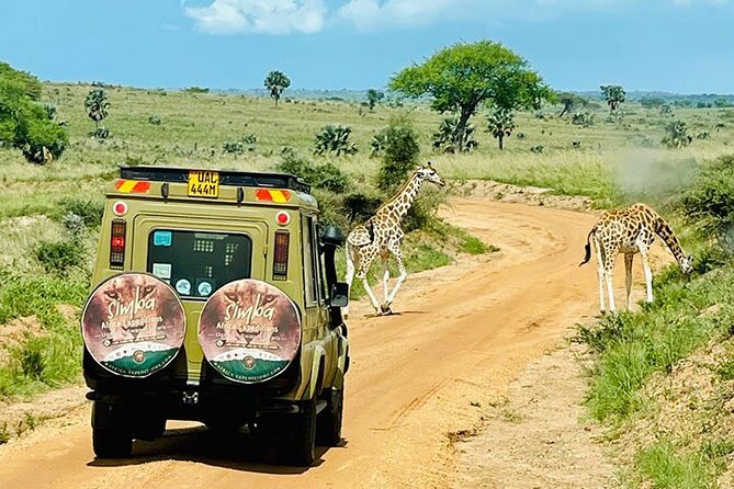 3 days Murchison Falls, Boat cruise and wildlife game viewing - Ziwa Rhino Sanctuary (Rhino Fund Uganda) and the US$50 add-on