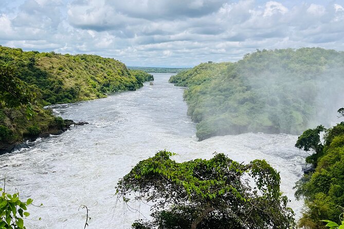 3 Days Murchison Falls National Park Safari & Rhino tracking - Key highlights in plain terms
