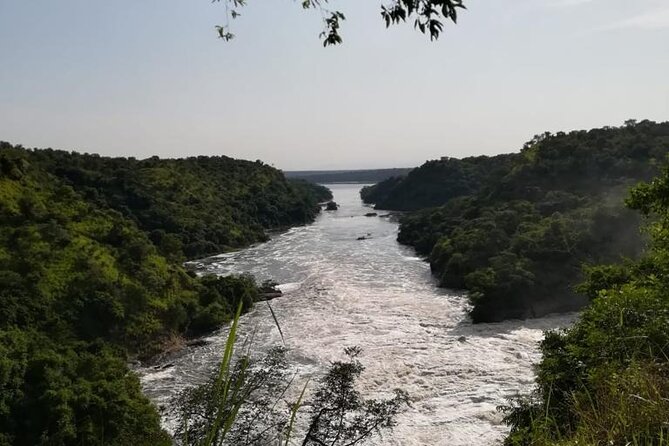 3 Days Murchison Falls National Park Safari & Rhino tracking - Launch cruise to the bottom of the falls, where the river brings surprises