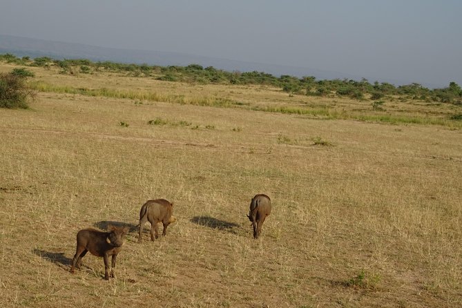 3 Days Murchison falls park Uganda - Murchison Falls in 3 days: what this route does well