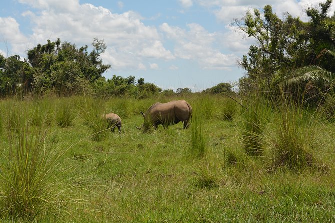 3-Days Murchison Falls Vacation Including Big 5 Sighting! - Day 3 Optional Hike, Top Views, and Time to Catch Your Flight