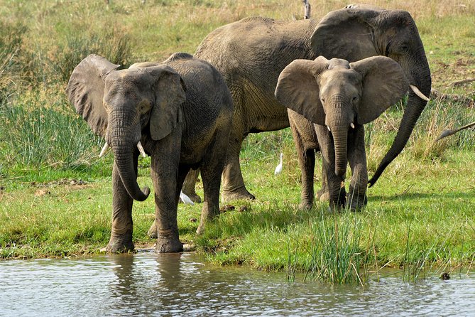 3 Days Murchison Falls Wildlife Safari - Hike to the top of Murchison Falls: the Nile’s narrow gorge view