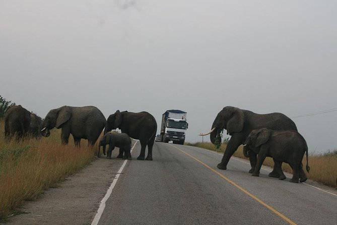 3 days Queen Elizabeth National Park Uganda Safari - Meals and lodge time: keeping the day from collapsing