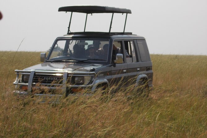 3 Days Trip To Murchison Falls - Day 2 Sunrise Game Drive at Nyamsika Plateau, Plus Serious Bird Time
