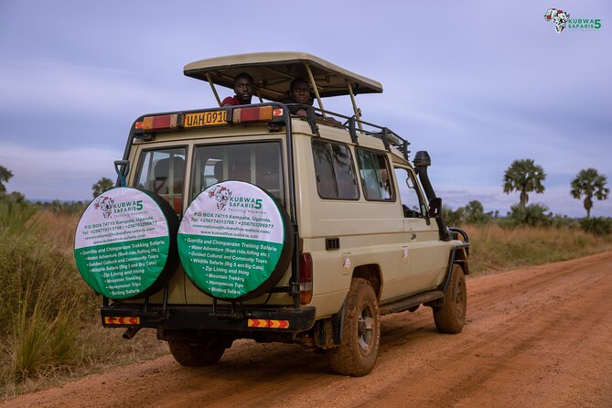 3 Days Wild Tour Queen Elizabeth National Park Safari Uganda - Mabamba Swamp Plus Kampala Markets, Seven Hills, and Street Food Logic