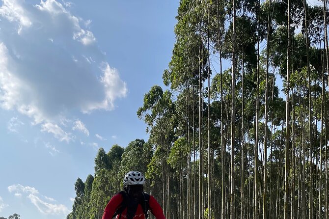 3 Hours Guided Cycling Tour Across Lake Victoria - How the guide experience matters (and why Zaga gets mentioned)
