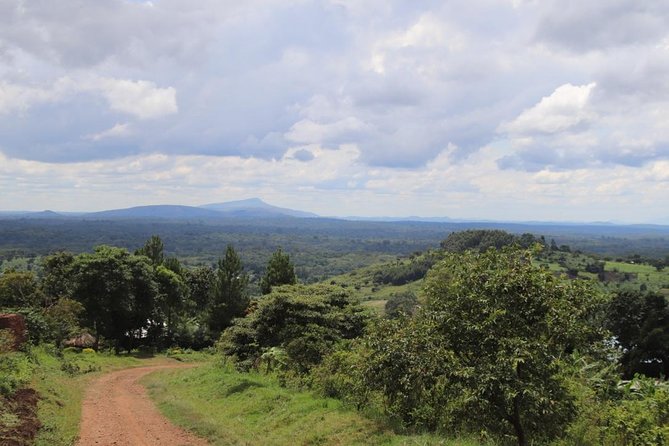 4-Day Gorillas, Wildlife and Chimpanzee Trek at Kalinzu Forest - Guides and driving, why names like Edison, Fred, Herbert matter