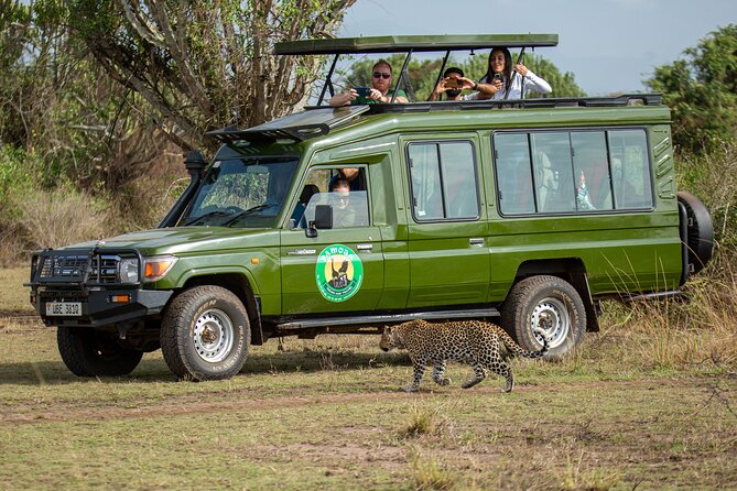 4-Day QENP, Gorillas in Bwindi and Lake Bunyonyi relaxation - Who this Uganda safari fits best