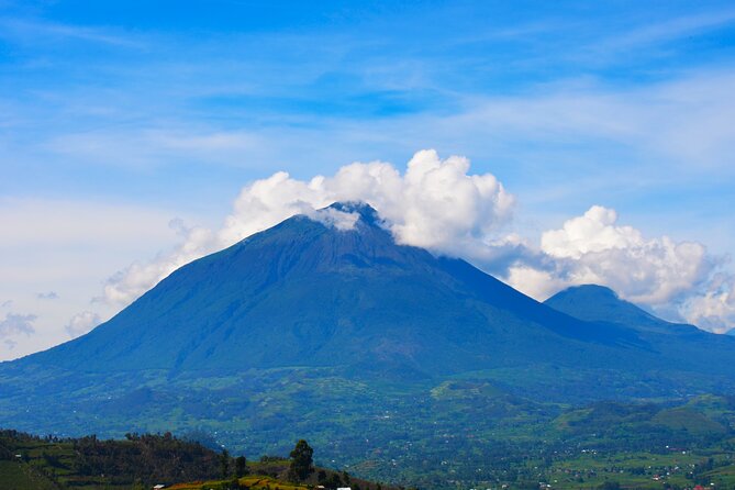 4 Days Gorilla tracking Tour in Uganda - Day 2: Bwindi gorilla tracking, forest pace, and your one-hour gorilla moment