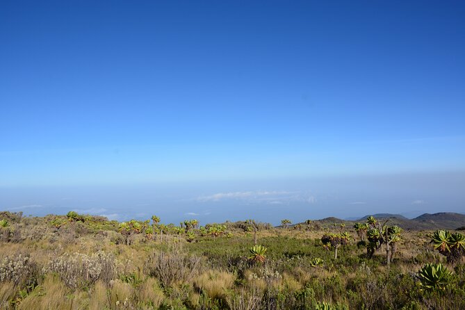 4 Days mount Elgon Trek, 4321m a.s.l - Day 1: Bushiyi Gate, registrations, and the first steep climb