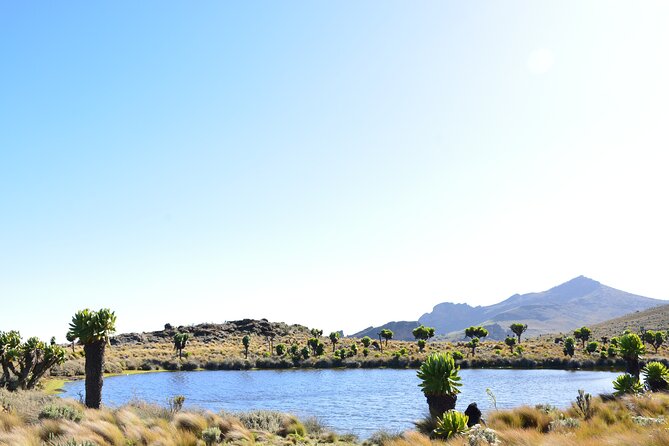 4 Days mount Elgon Trek, 4321m a.s.l - Day 4: crater walking and Hunter’s Cave Camp at 3,600m