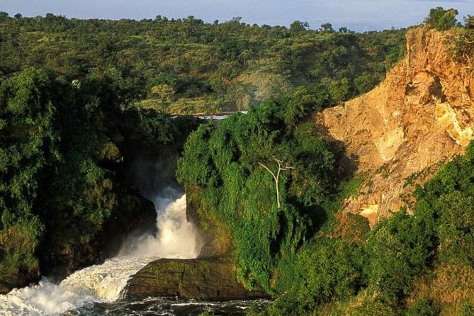 5-Day Murchison Falls, Budongo Chimps, Wildlife Big 5 Safari - Key Things I’d Focus On Before You Book