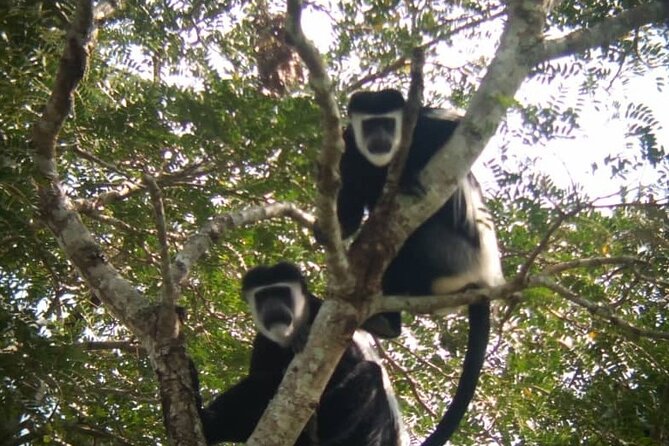 5 days best wildlife experience in Uganda - Day 1: Amabere Caves, Lake Kigere views, and getting out of city time