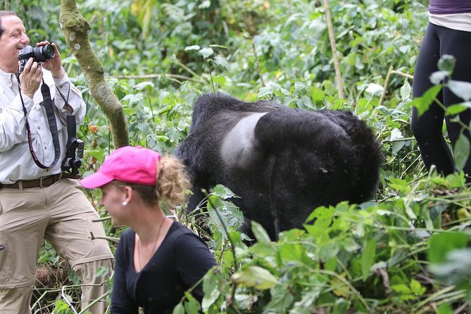 5 days gorilla & Wildlife safari in Uganda - Day 1: Kampala to Bwindi, Kabale transit, Equator stop, and Munyaga Waterfall
