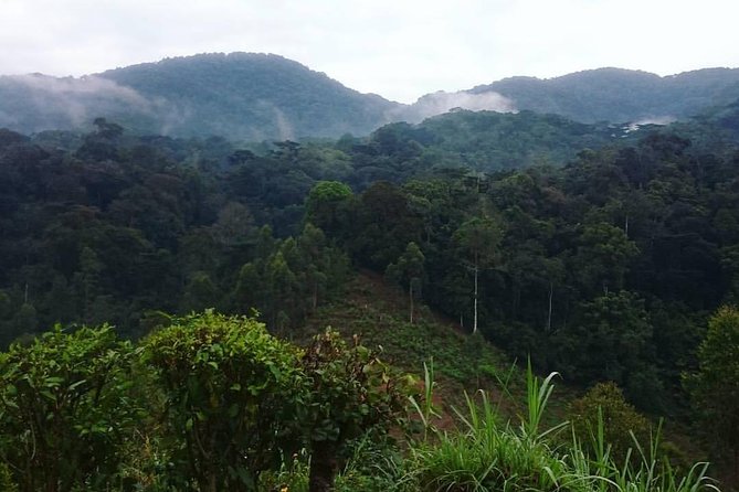 6 Day Gorilla tracking and Wildlife Safari - How This 6-Day Route Works (And Why It’s a Smart Use of Time)