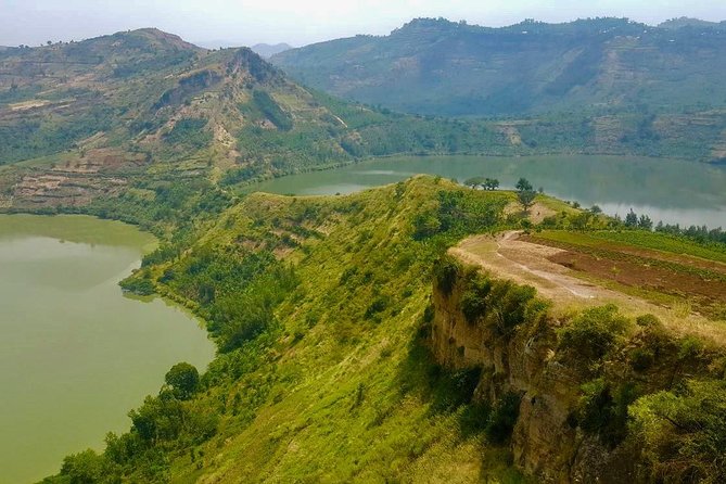 6 Day Gorilla tracking and Wildlife Safari - Day 4: Queen Elizabeth National Park via Ishasha, and the Tree-Climbing Lions Moment