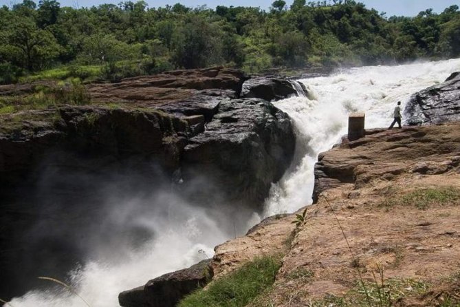6-Day Murchison Falls and Kidepo NP Wildlife Safari - Key Highlights You Should Know Before You Go