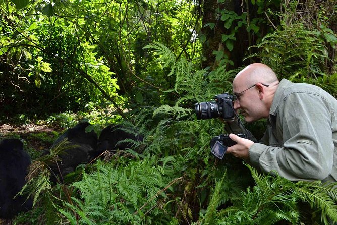 6 Days Chimps, Gorillas & Murchison Falls Africa's Big Five Experience Safari - Gorilla day in Bwindi: briefing, 3 to 5 hour trek, and the hour with a family