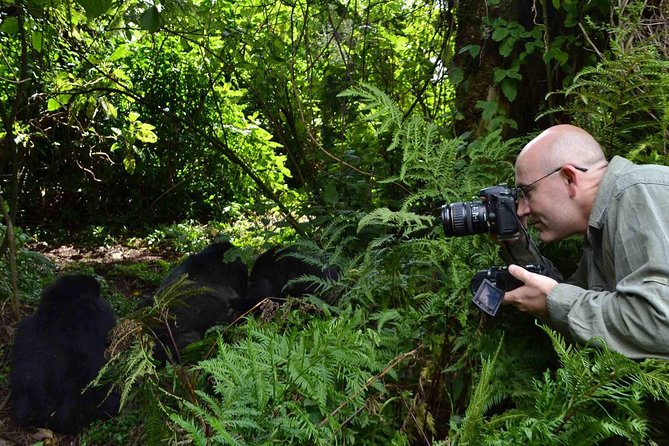 6 Days Chimps, Gorillas & Murchison Falls Africa's Big Five Experience Safari - Comfort and timing: what the private format changes for you